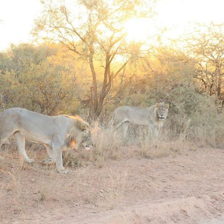 Kwalata Game Lodge Klipdrift Экстерьер фото