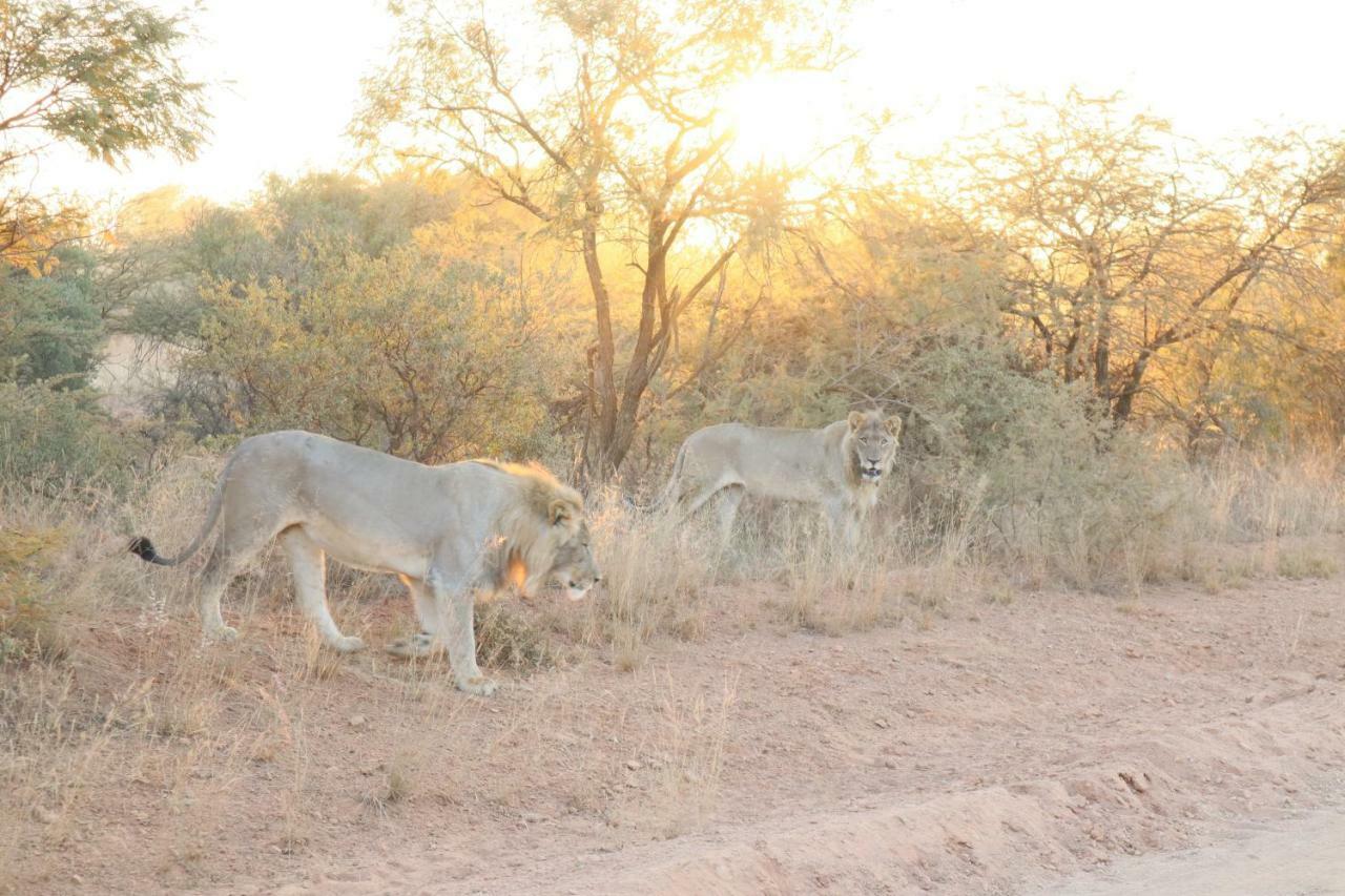 Kwalata Game Lodge Klipdrift Экстерьер фото