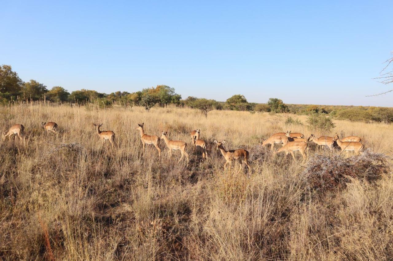Kwalata Game Lodge Klipdrift Экстерьер фото
